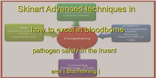 Skinart Advanced techniques in how to excel in bloodborne pathogen safety in the Inxent area | BbpTraining | BbpClasses | SkinartTraining-France